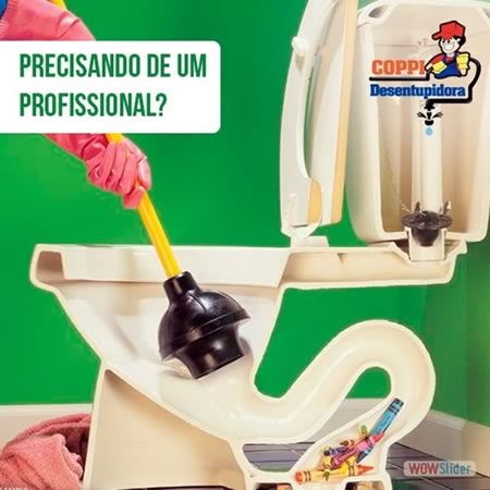 Services desentupidoravasosanitario